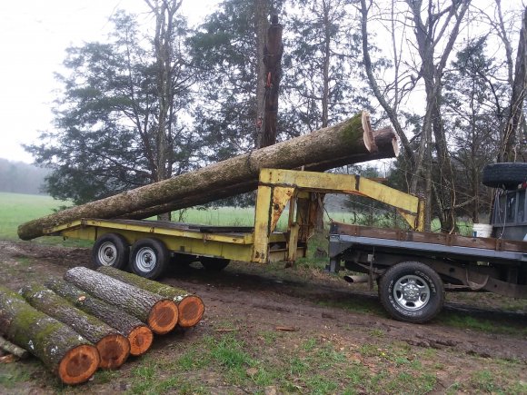 Hauling 24ft logs