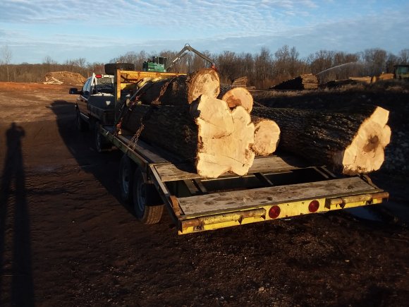 Hauling Oak