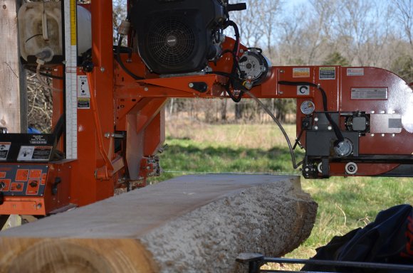 SAWING POPLAR 3-12 (12)