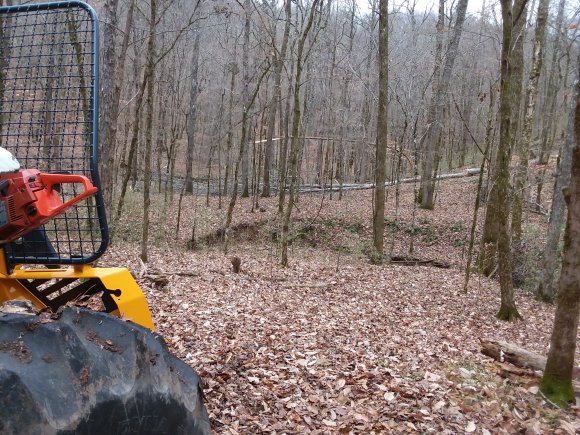 Winching timber