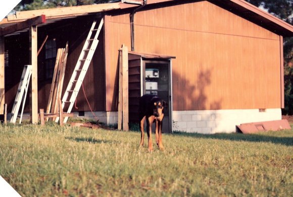 FL PORCH & STOVE (7)